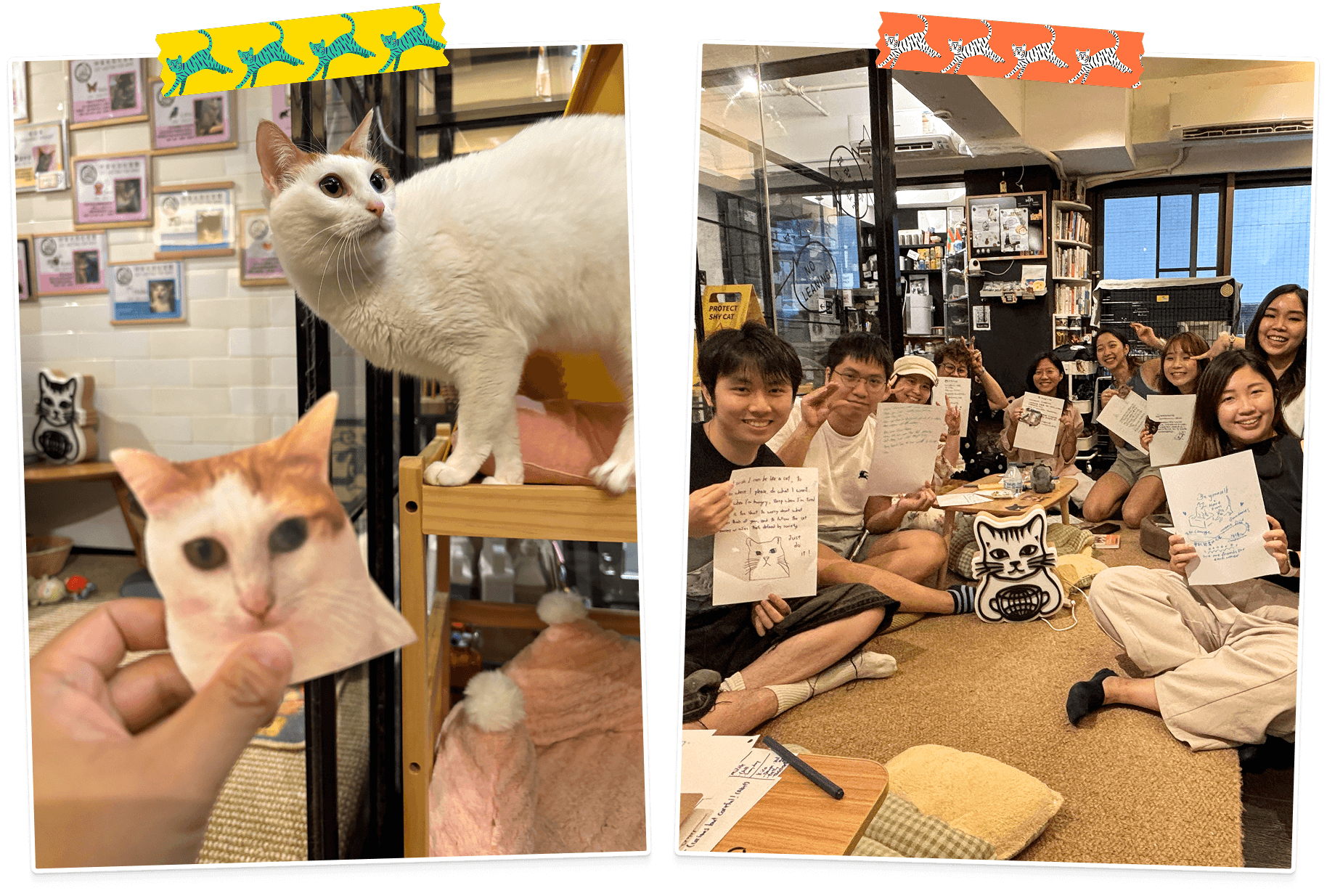 A polaroid of a white cat standing over a smaller printed cat photo alongside a group of participants on the floor at Cat Cafe holding hand-drawn worksheets